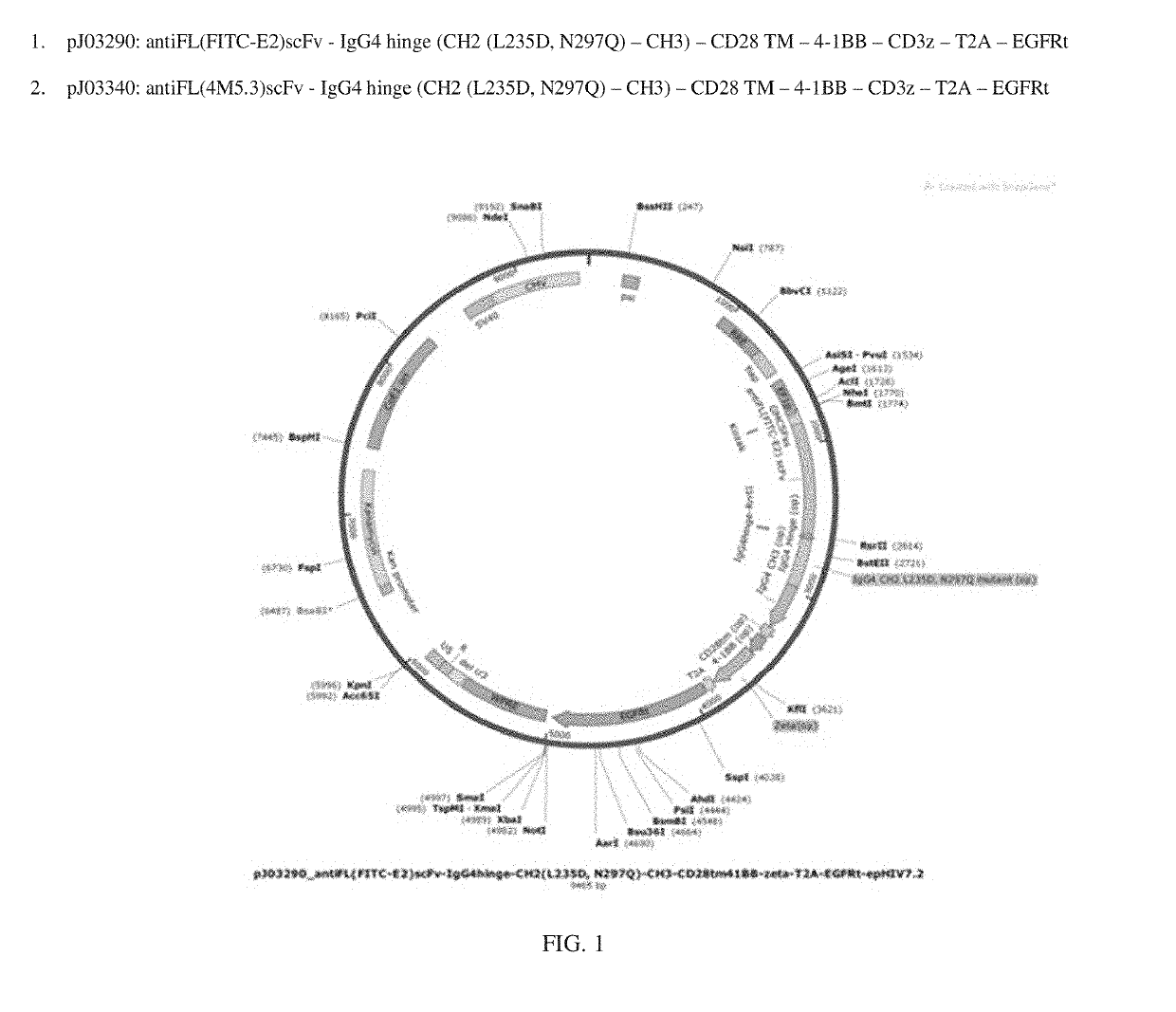 Methods of use for car t cells