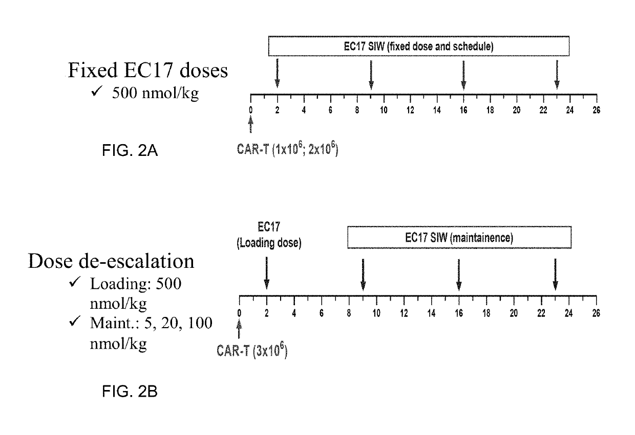 Methods of use for car t cells