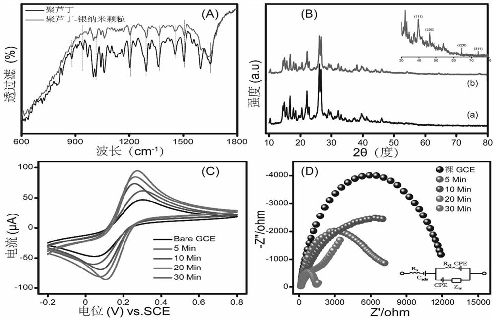 Polyrutin-silver nanoparticle-glassy carbon electrode and preparation method thereof