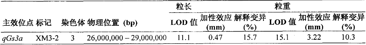 New space-mutated rice grain length gene qGS3a and molecular marker method thereof