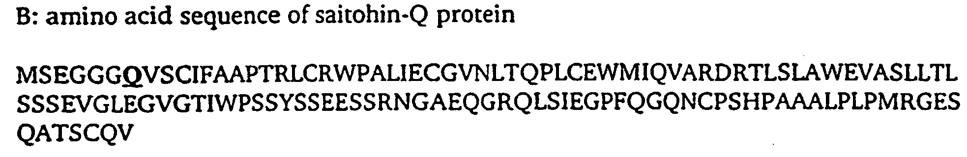 Novel saitohin gene and uses of same