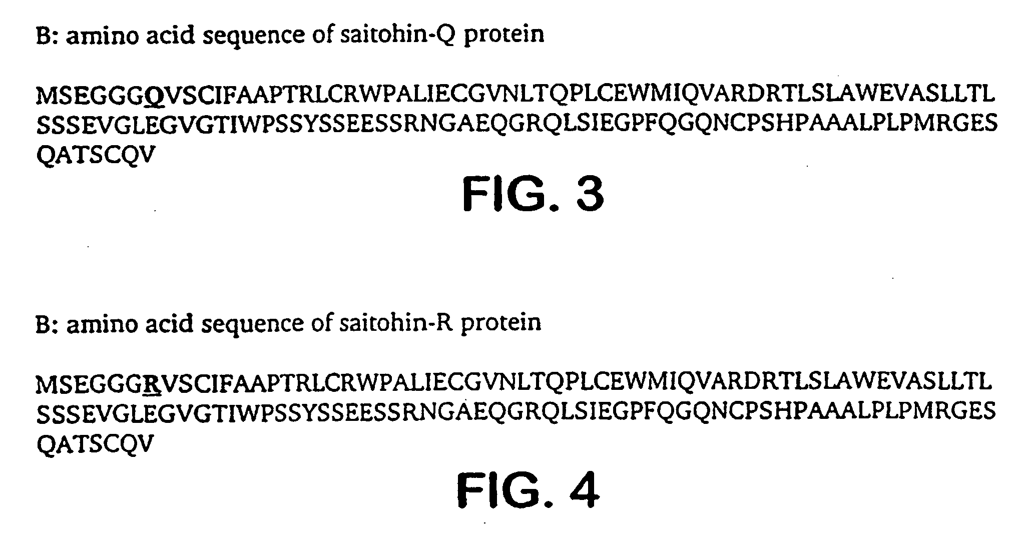 Novel saitohin gene and uses of same