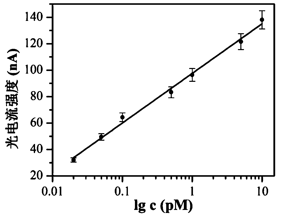 Preparation method and application of photoelectrochemical biosensor based on iridium complex