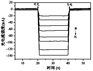 Preparation method and application of photoelectrochemical biosensor based on iridium complex