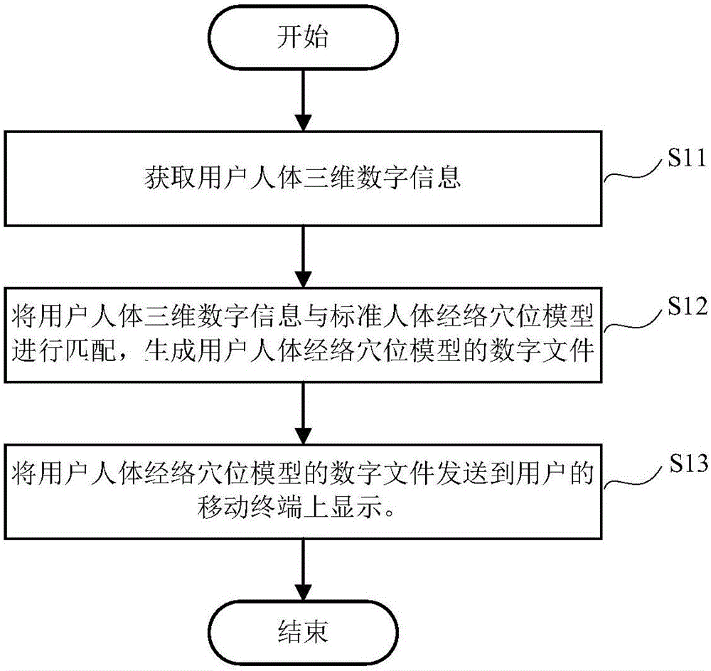 Digital human meridian and acupuncture point model display method and device