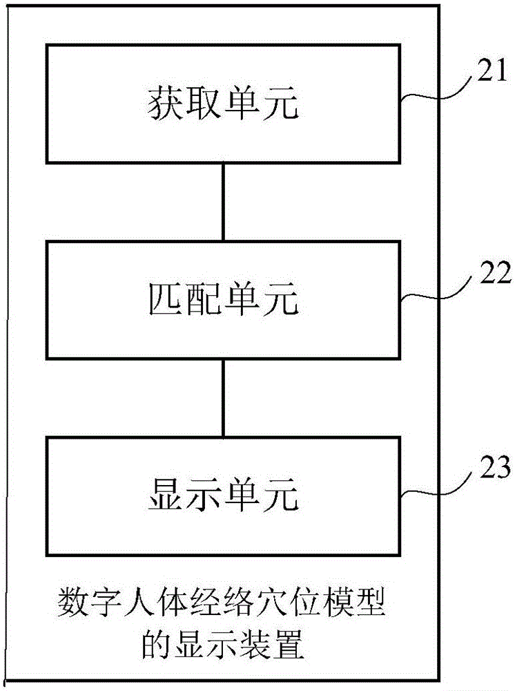 Digital human meridian and acupuncture point model display method and device