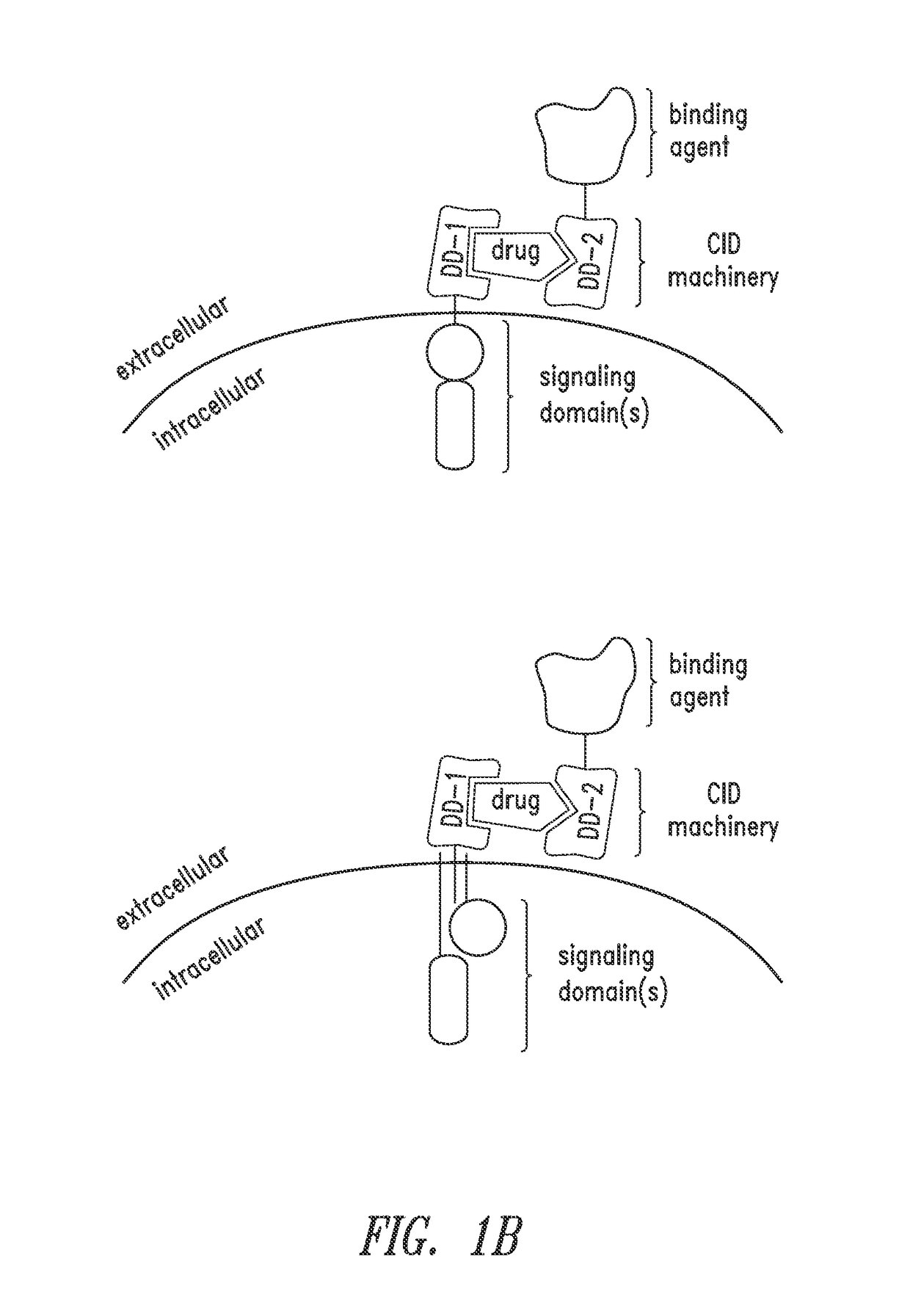 Multipartite signaling proteins and uses thereof