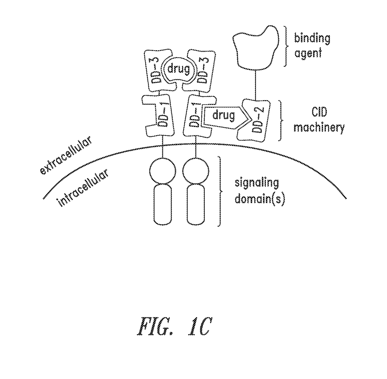 Multipartite signaling proteins and uses thereof