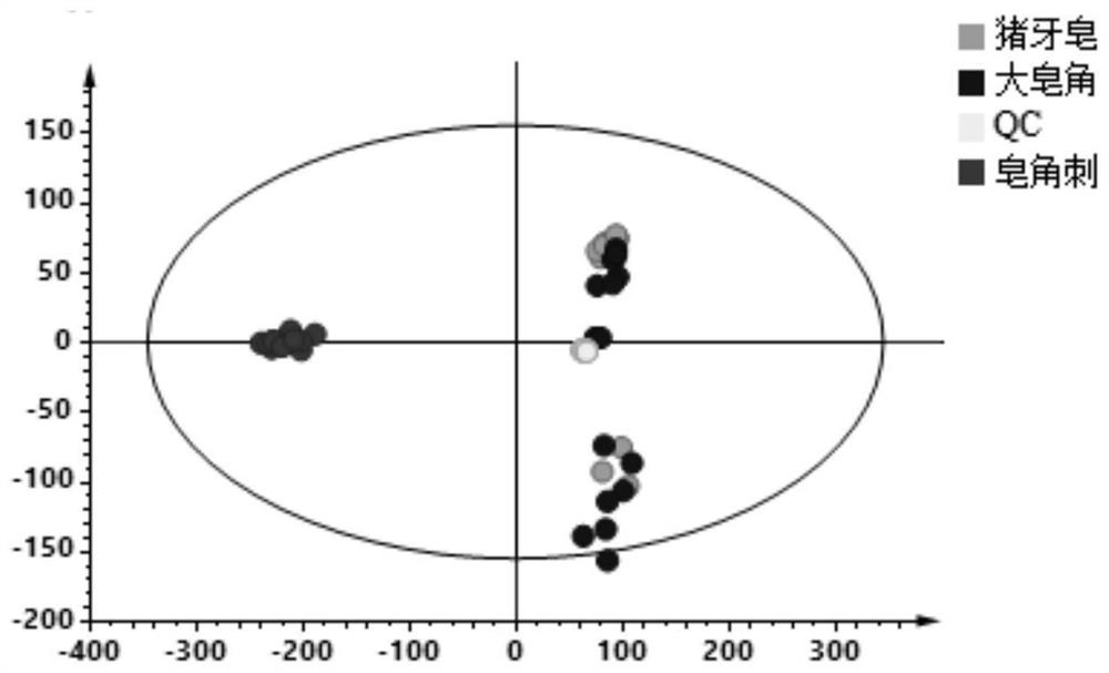 Identification method of three medicinal materials derived from Chinese honey locust and application of identification method