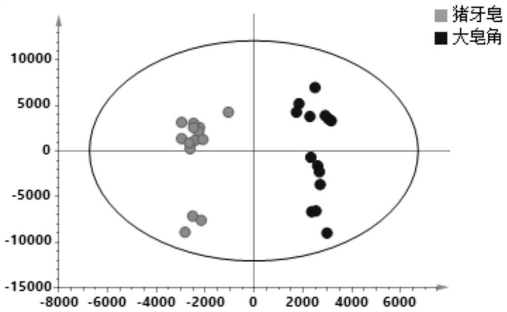 Identification method of three medicinal materials derived from Chinese honey locust and application of identification method