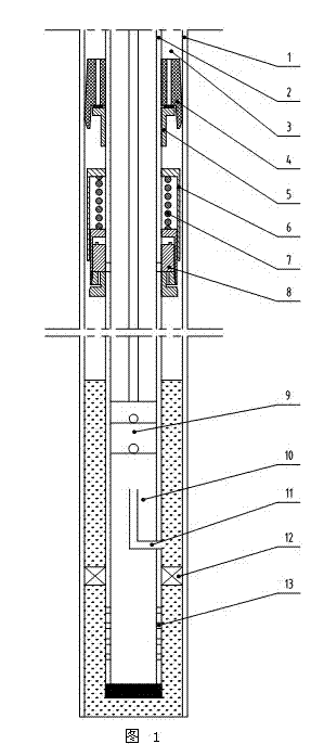 Crude oil dissolved gas underground collecting apparatus