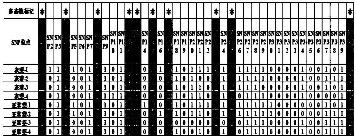 Molecular marker for authenticating zizania latifolia turcz. phenotype characteristics, and application and acquisition method thereof