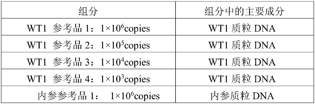 Reagent kit for detecting human WT1 fusion genes, and application method of reagent kit