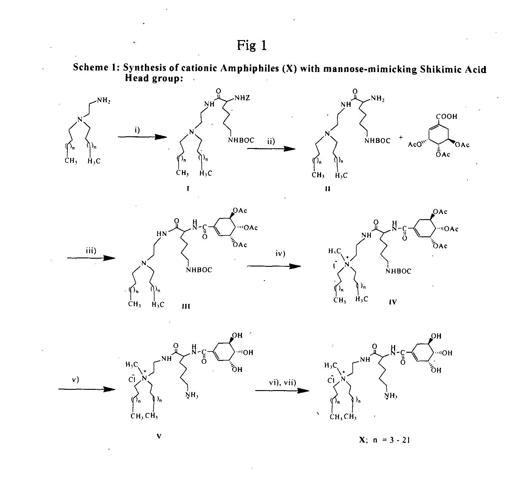 Novel cationic amphiphiles with mannose-mimicking head-groups and a process for the preparation thereof