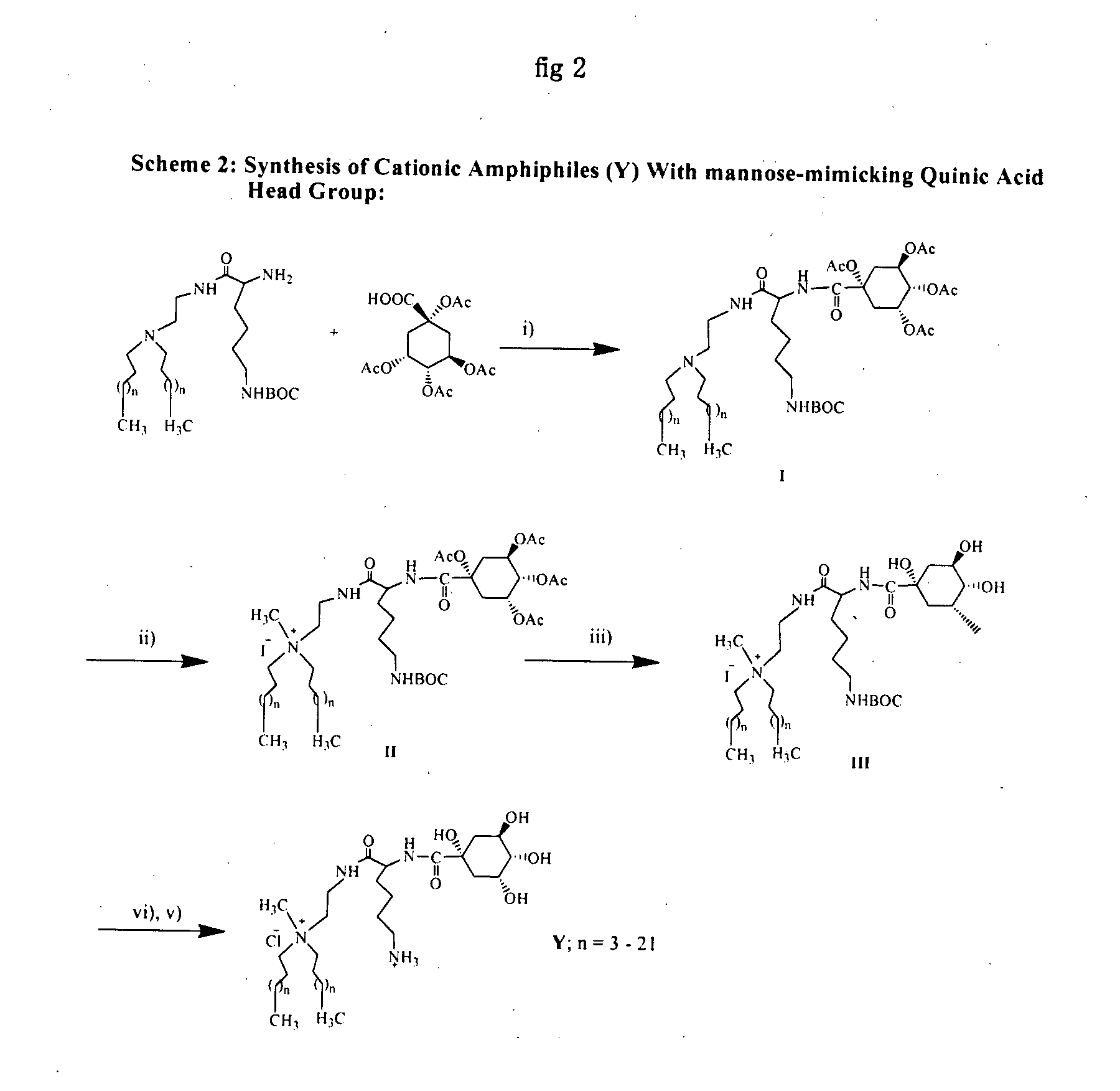 Novel cationic amphiphiles with mannose-mimicking head-groups and a process for the preparation thereof