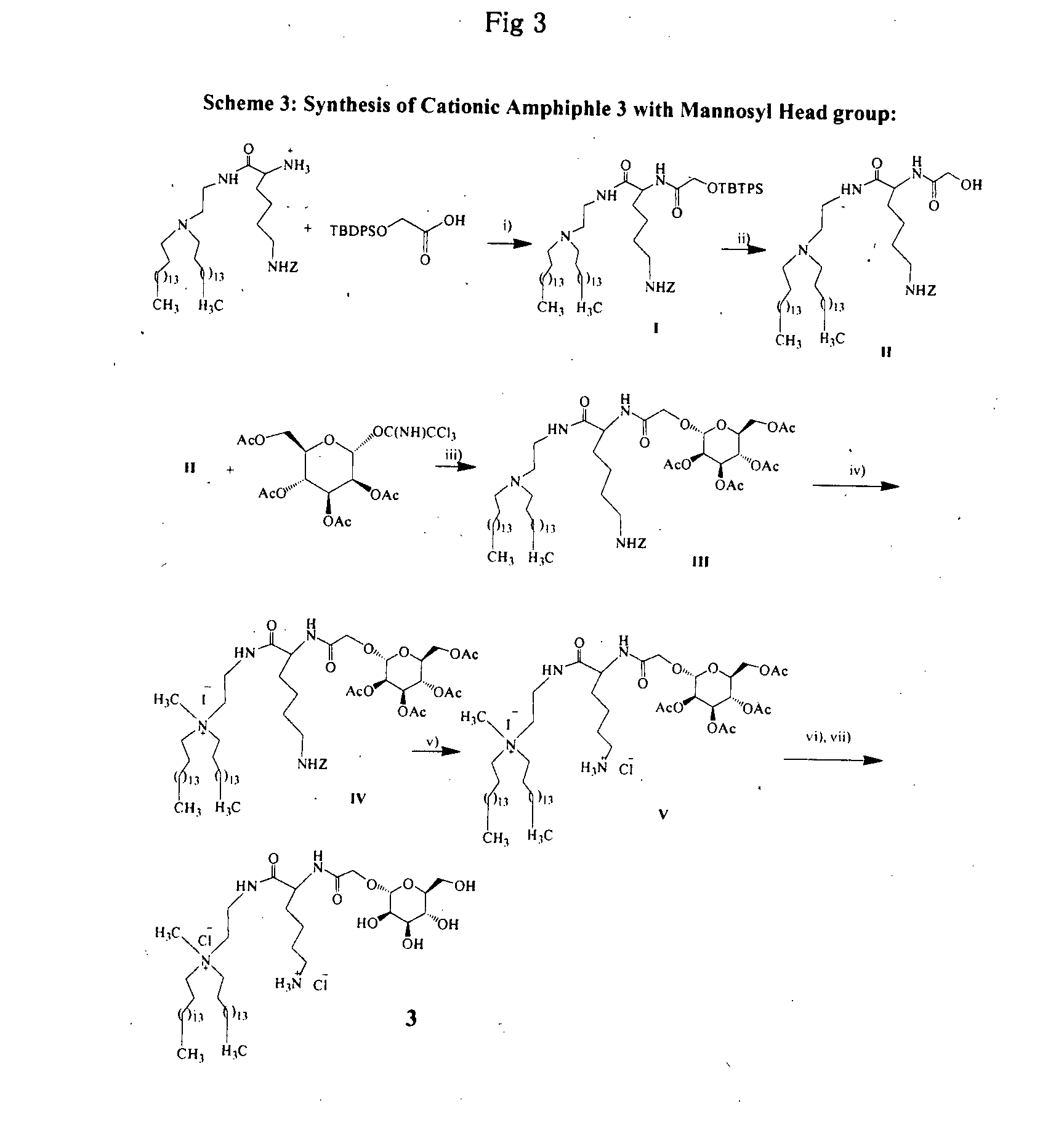 Novel cationic amphiphiles with mannose-mimicking head-groups and a process for the preparation thereof