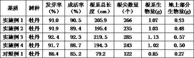 Seedling-raising light medium prepared from cattle manure and edible fungus residues used as raw materials