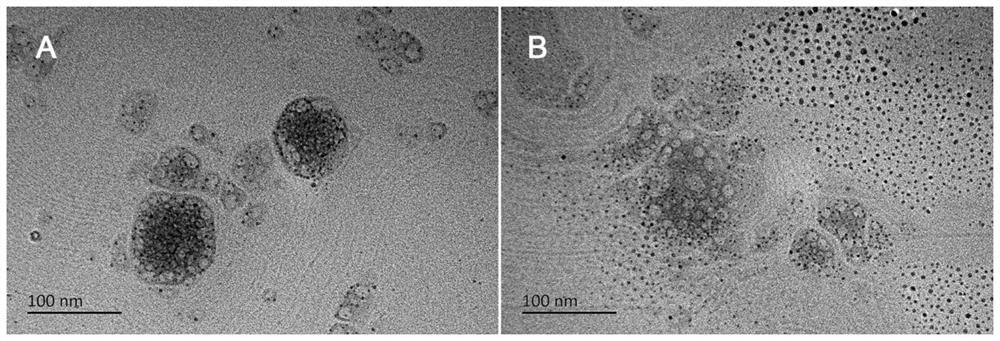 A hypoxia-responsive polyamino acid-peg stereotactic drug-loaded micelle and its preparation method