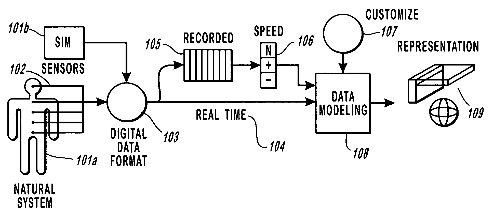 Method and apparatus for monitoring dynamic cardiovascular function using n-dimensional representatives of critical functions