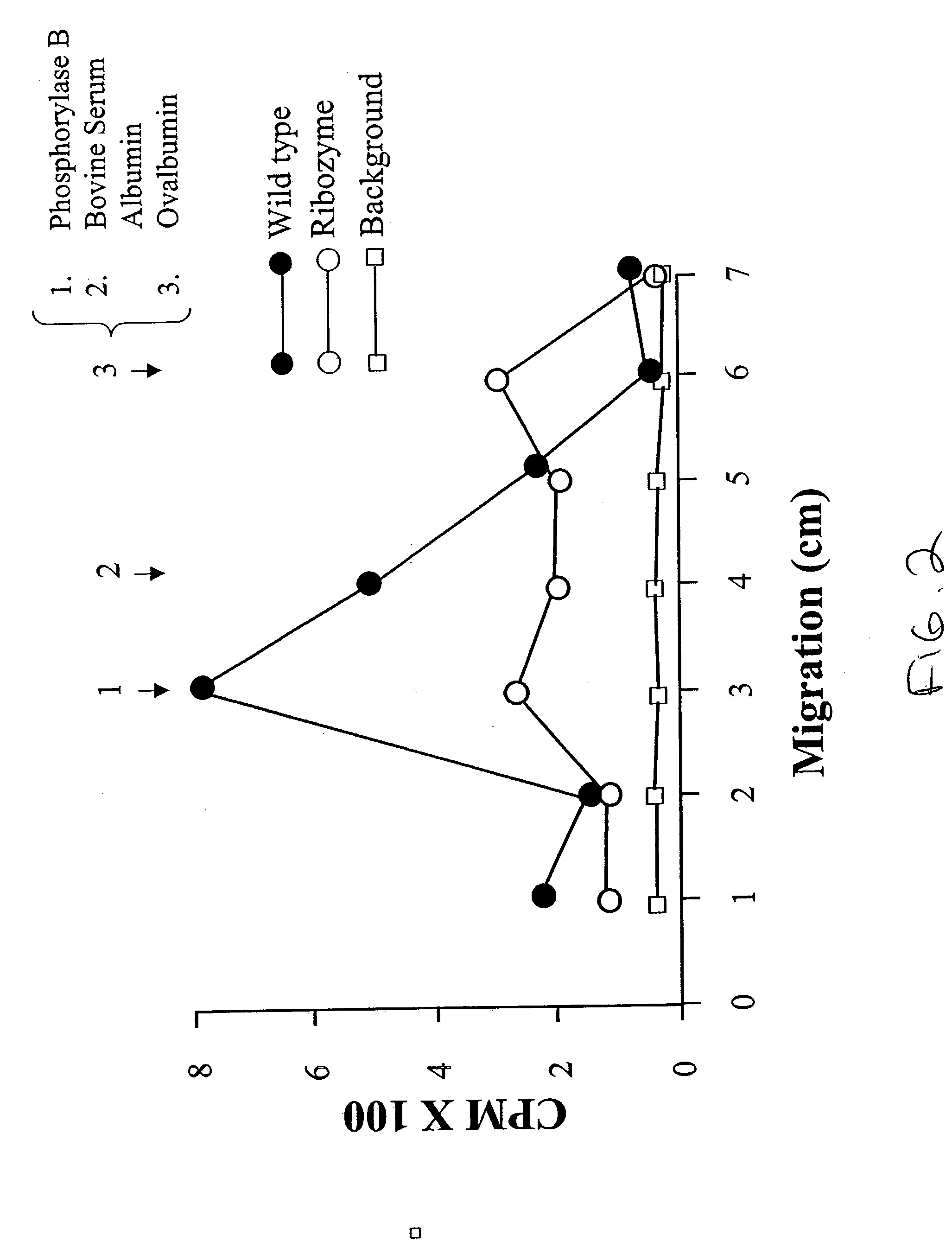 Neutral sphingomyelinase antisense ribozyme and uses thereof