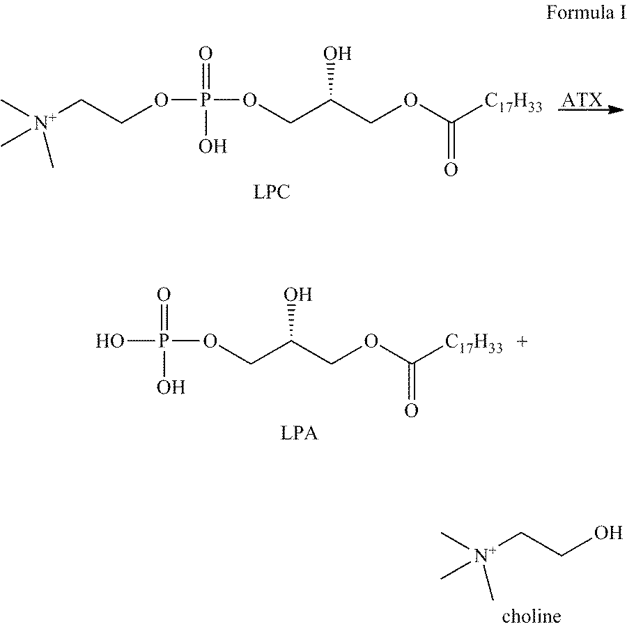 Autotaxin inhibitors