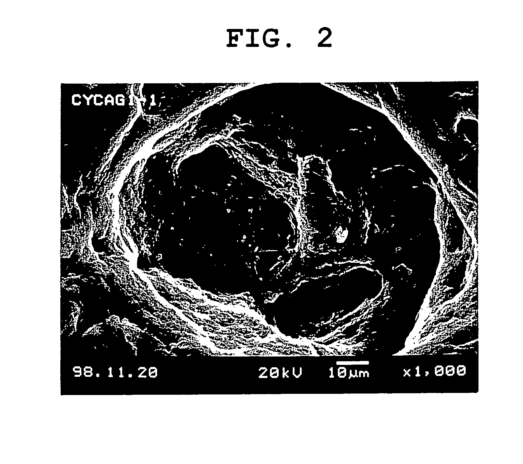 System for release in lower digestive tract