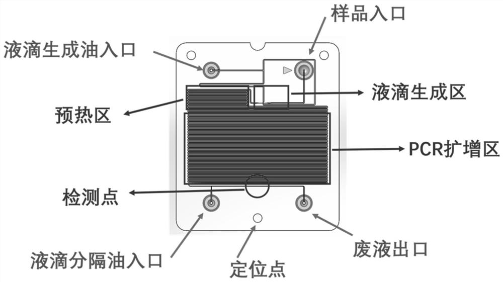 PCR amplification mechanism for a dPCR integrated microfluidic chip