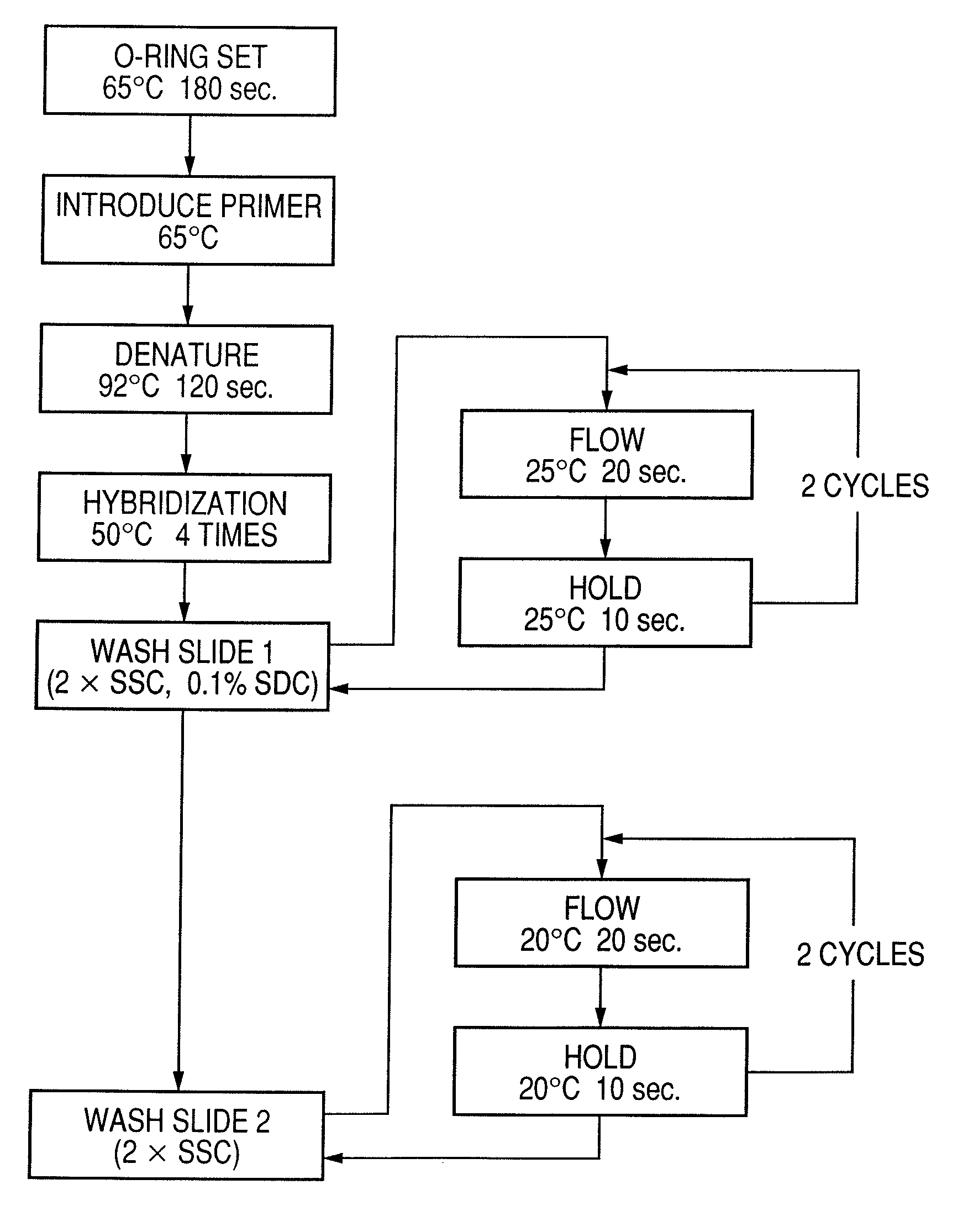 Probe, probe set, probe carrier, and testing method