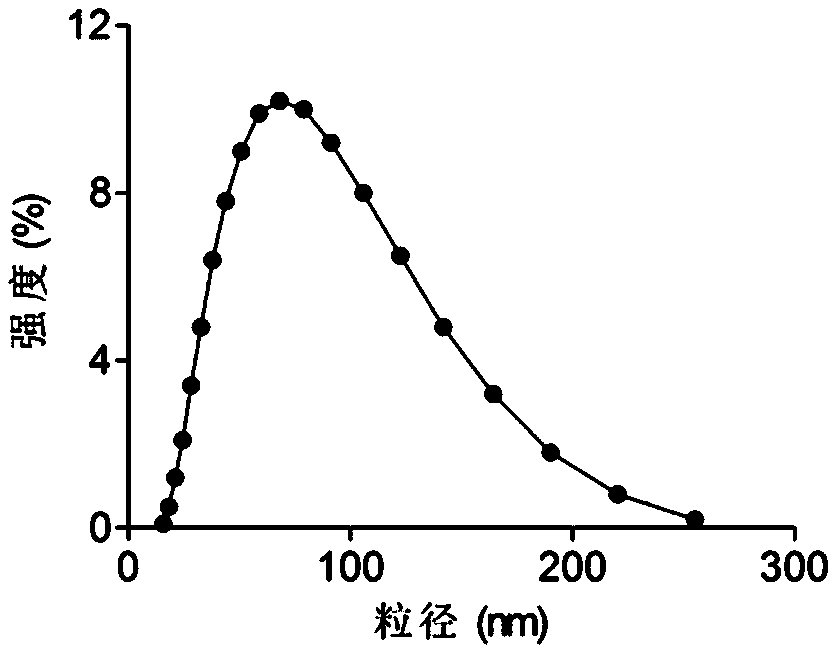 Small molecule hydrogel-nanoparticle compound drug carrier and application thereof in skin/mucosa drug delivery system