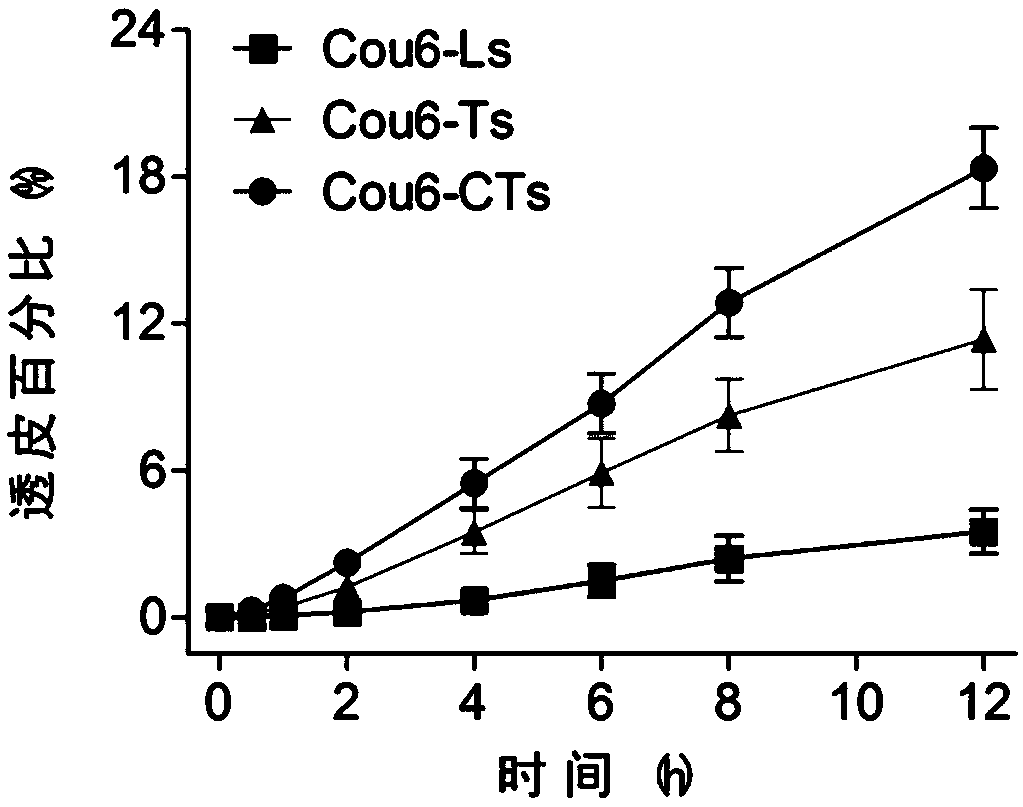 Small molecule hydrogel-nanoparticle compound drug carrier and application thereof in skin/mucosa drug delivery system