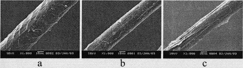 Strain for degrading wool scale layer