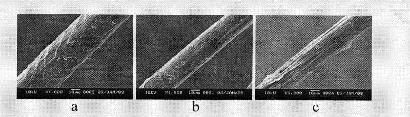 Strain for degrading wool scale layer