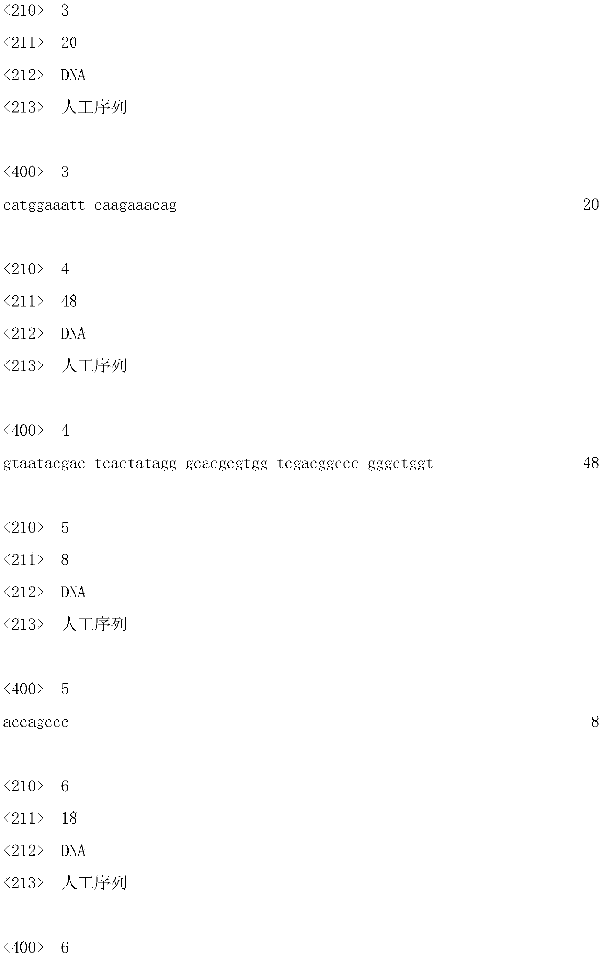 Primer pair, castanopsis hystrix SSR7 (Simple Sequence Repeat 7) marker and preparation method and application thereof