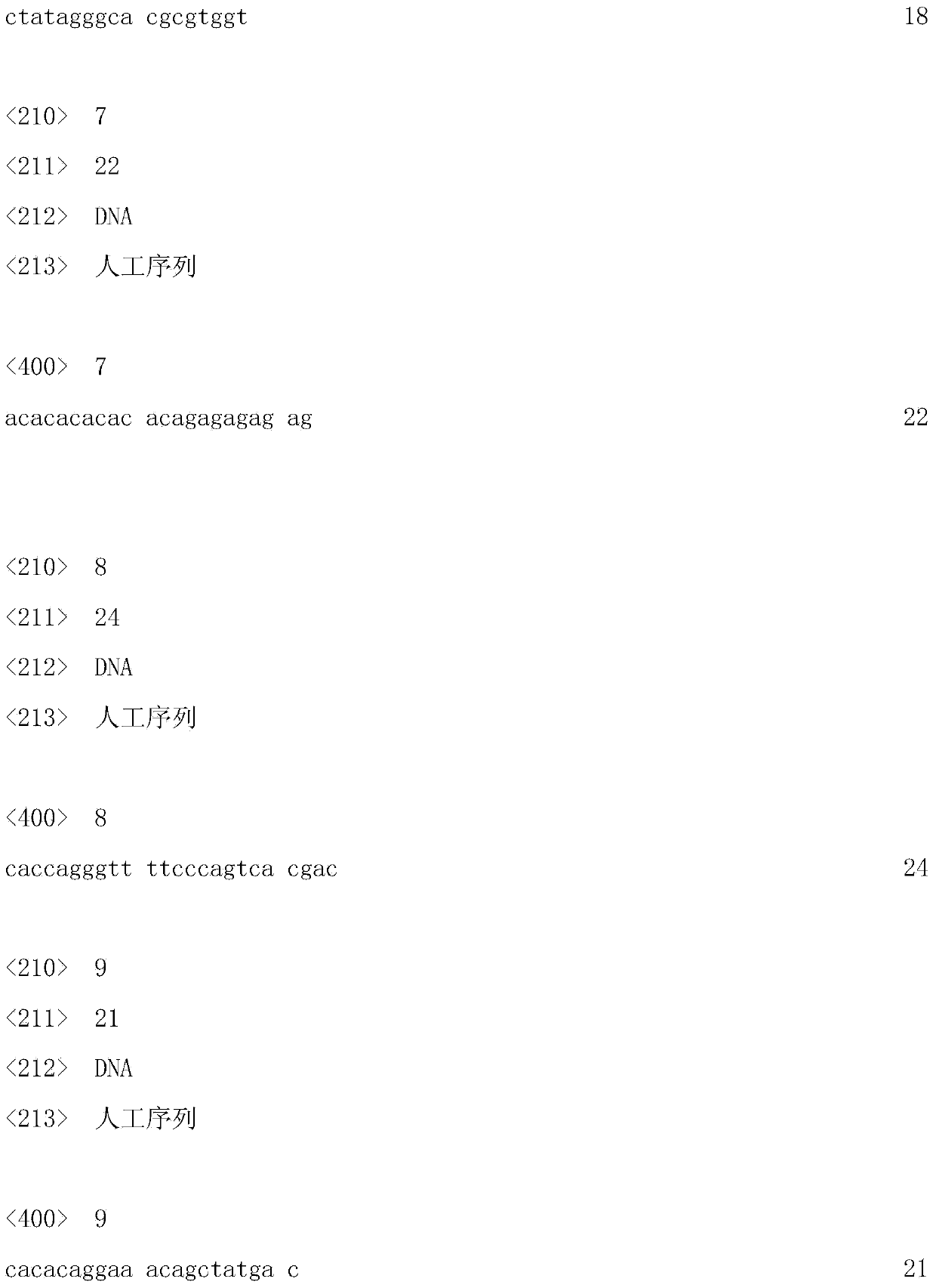 Primer pair, castanopsis hystrix SSR7 (Simple Sequence Repeat 7) marker and preparation method and application thereof