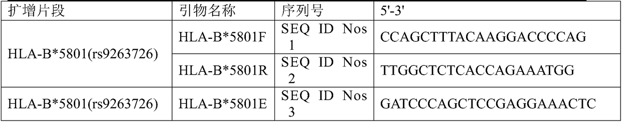 Detection method and detection kit for HLA-B*5801 gene