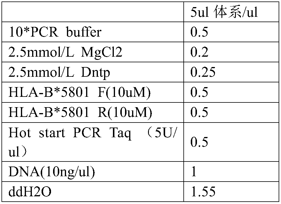 Detection method and detection kit for HLA-B*5801 gene