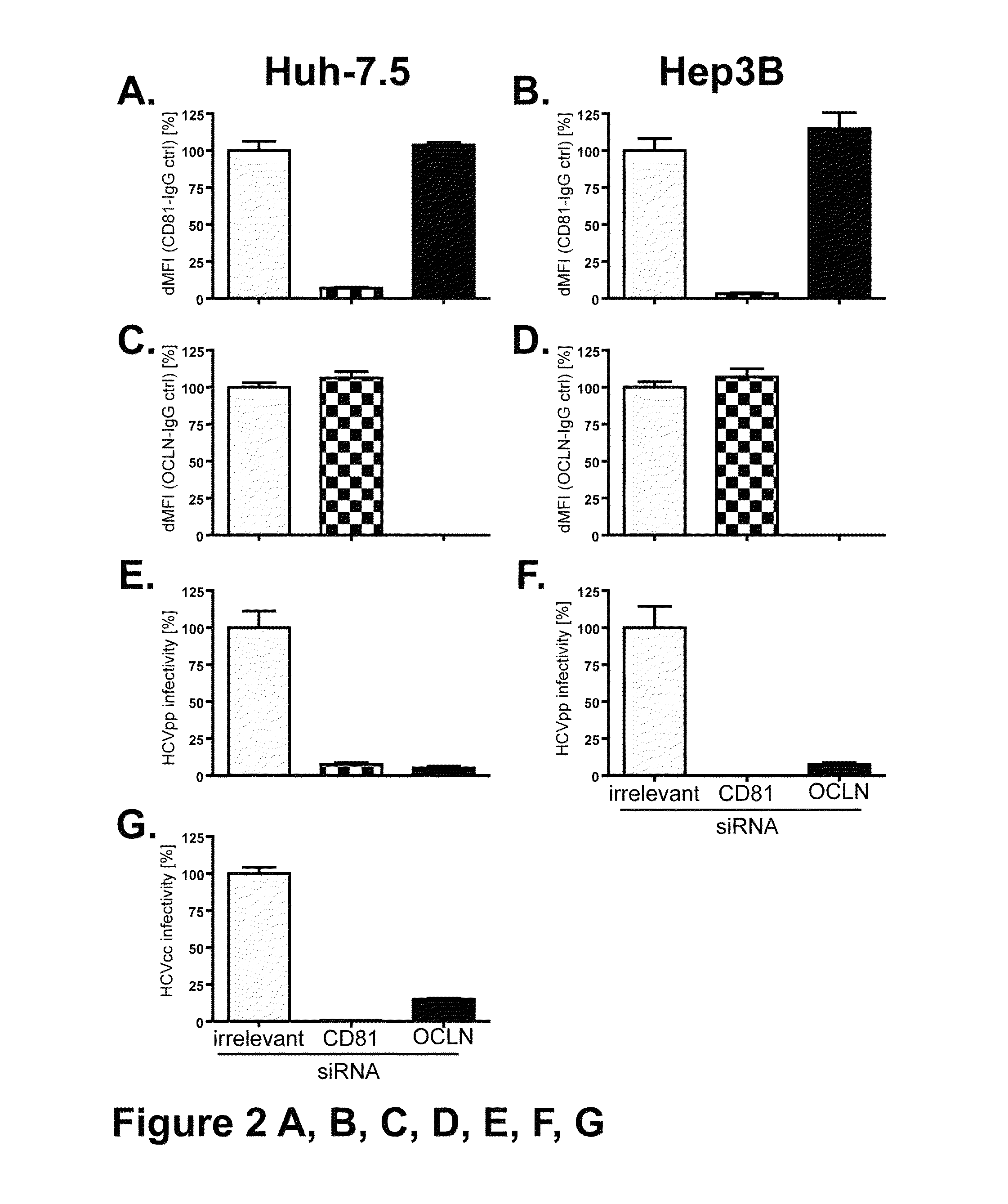 HCV entry factor, Occludin