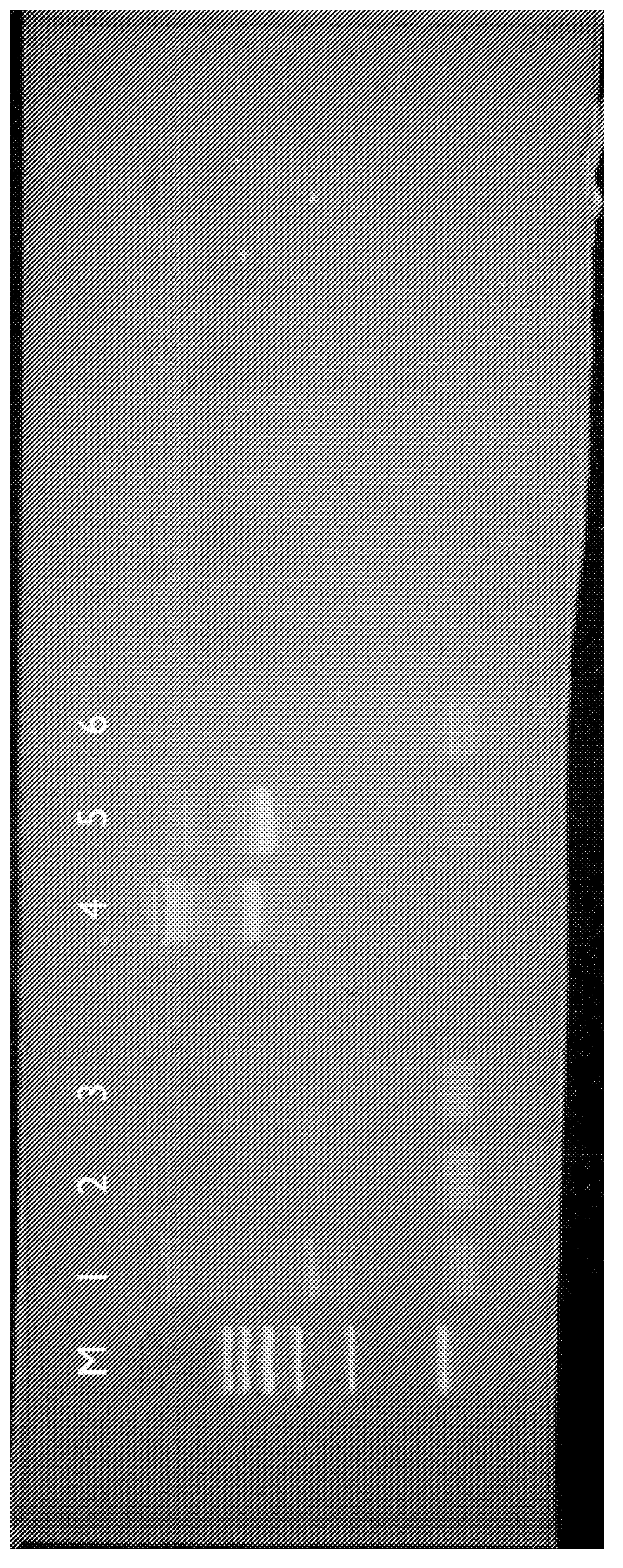 Method for improving detection of b cell immunoglobulin gene recombination