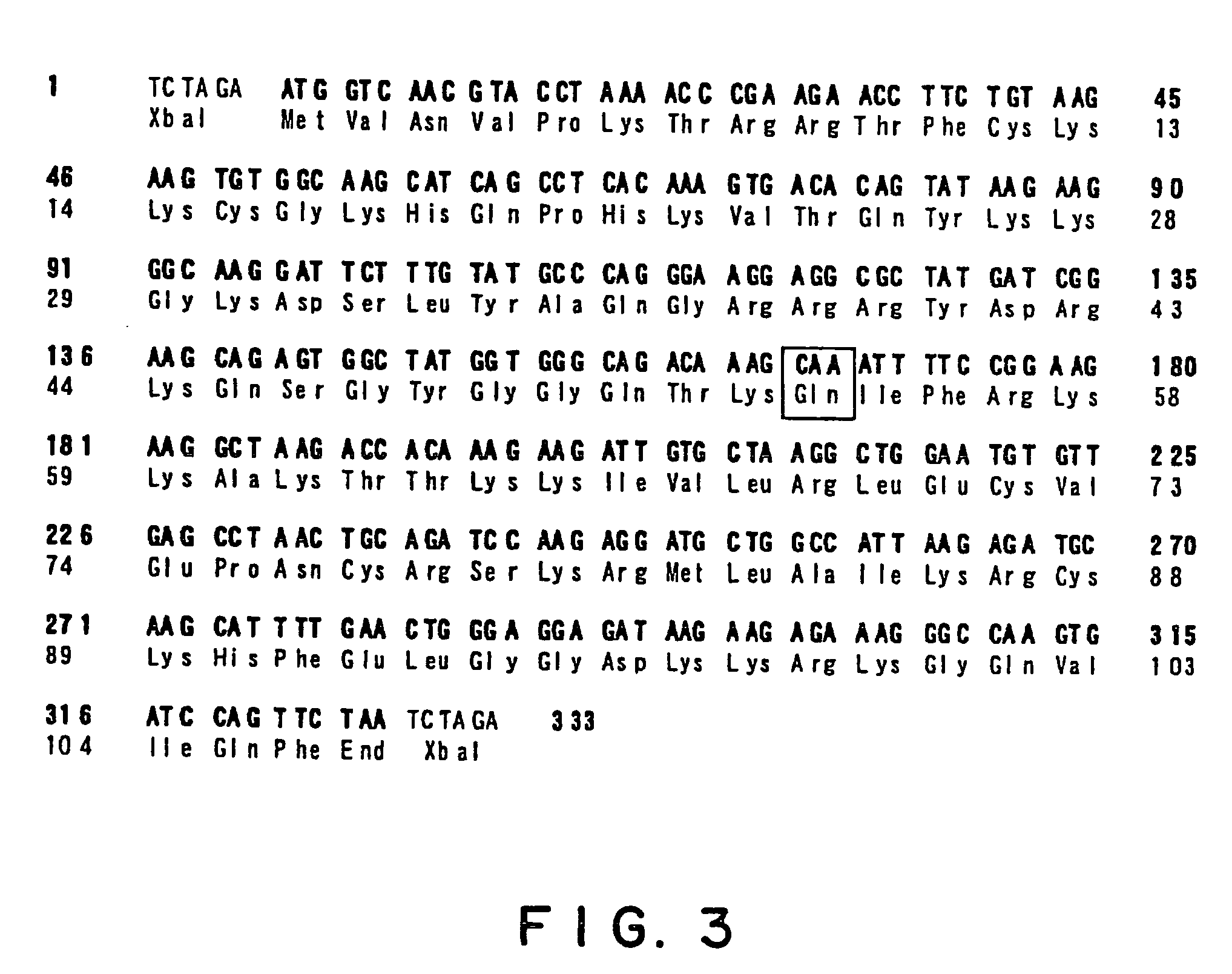 Vectors for animal cells and utilization thereof