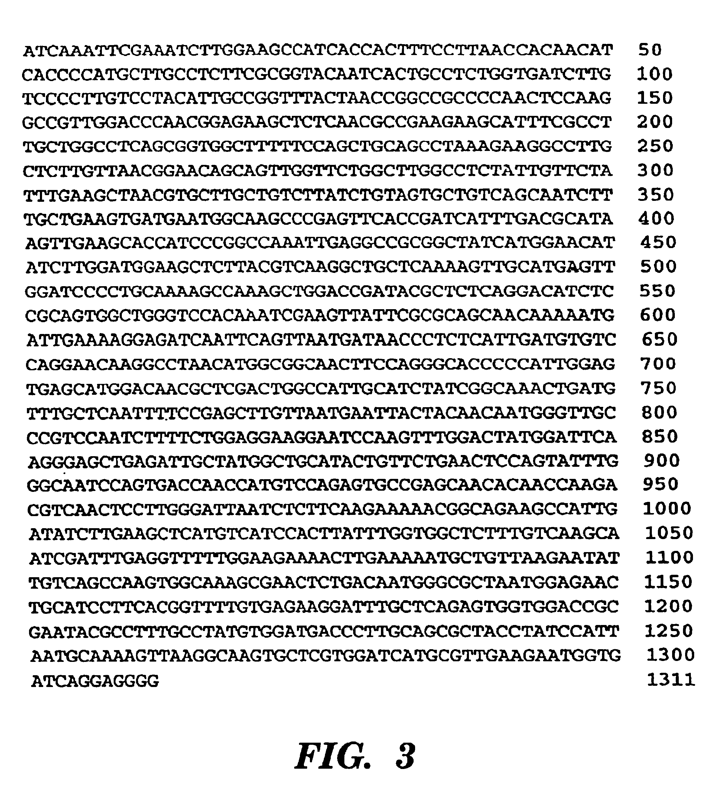 Constitutive α-Tubulin promoter from coffee plants and uses thereof