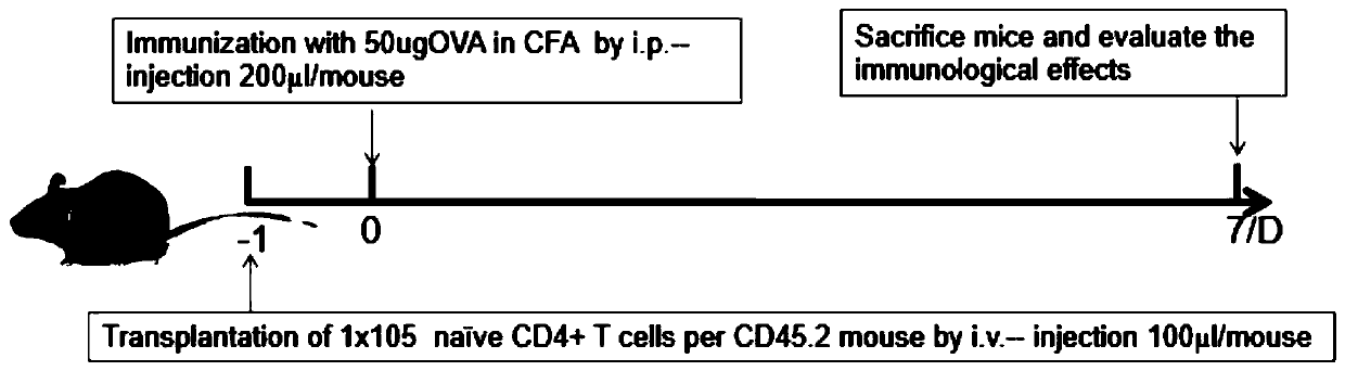 CD127 resisting antibody, cell strain for secreting antibody and preparation method and application of antibody