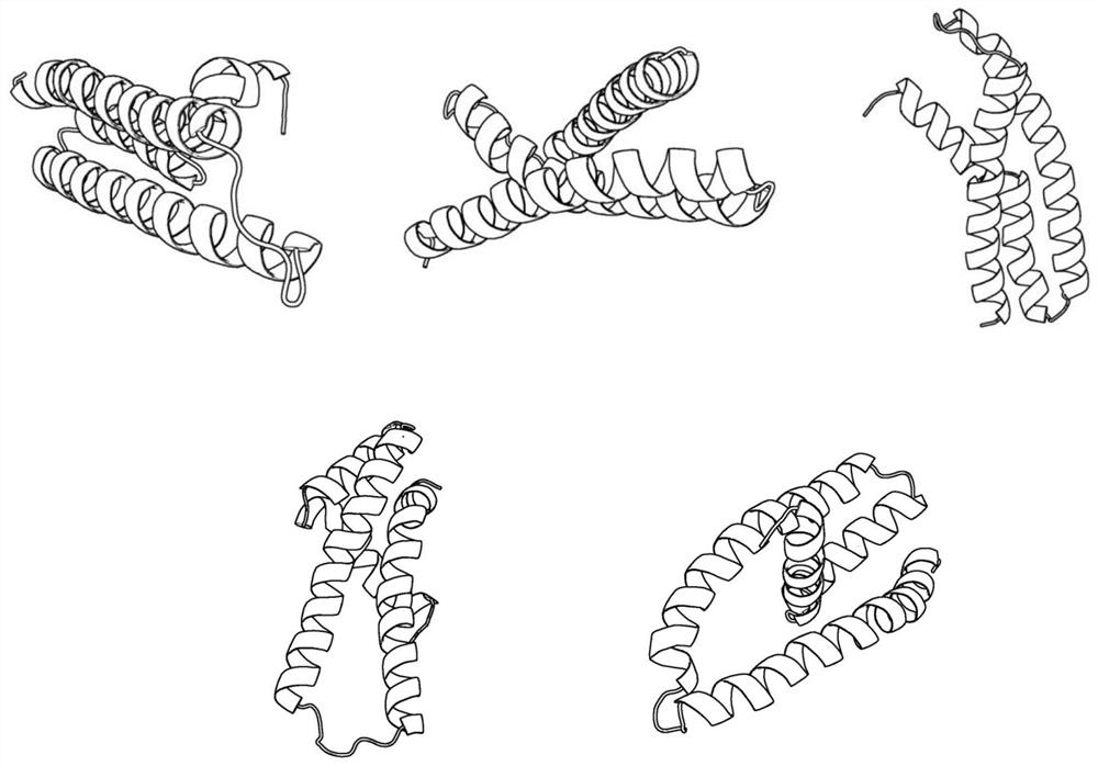 A Multimodal Protein Structure Prediction Method Based on Niche Resampling