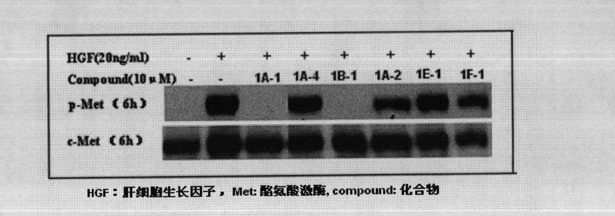 Five-membered heterocycle pyrimidine compounds, preparation method and application thereof