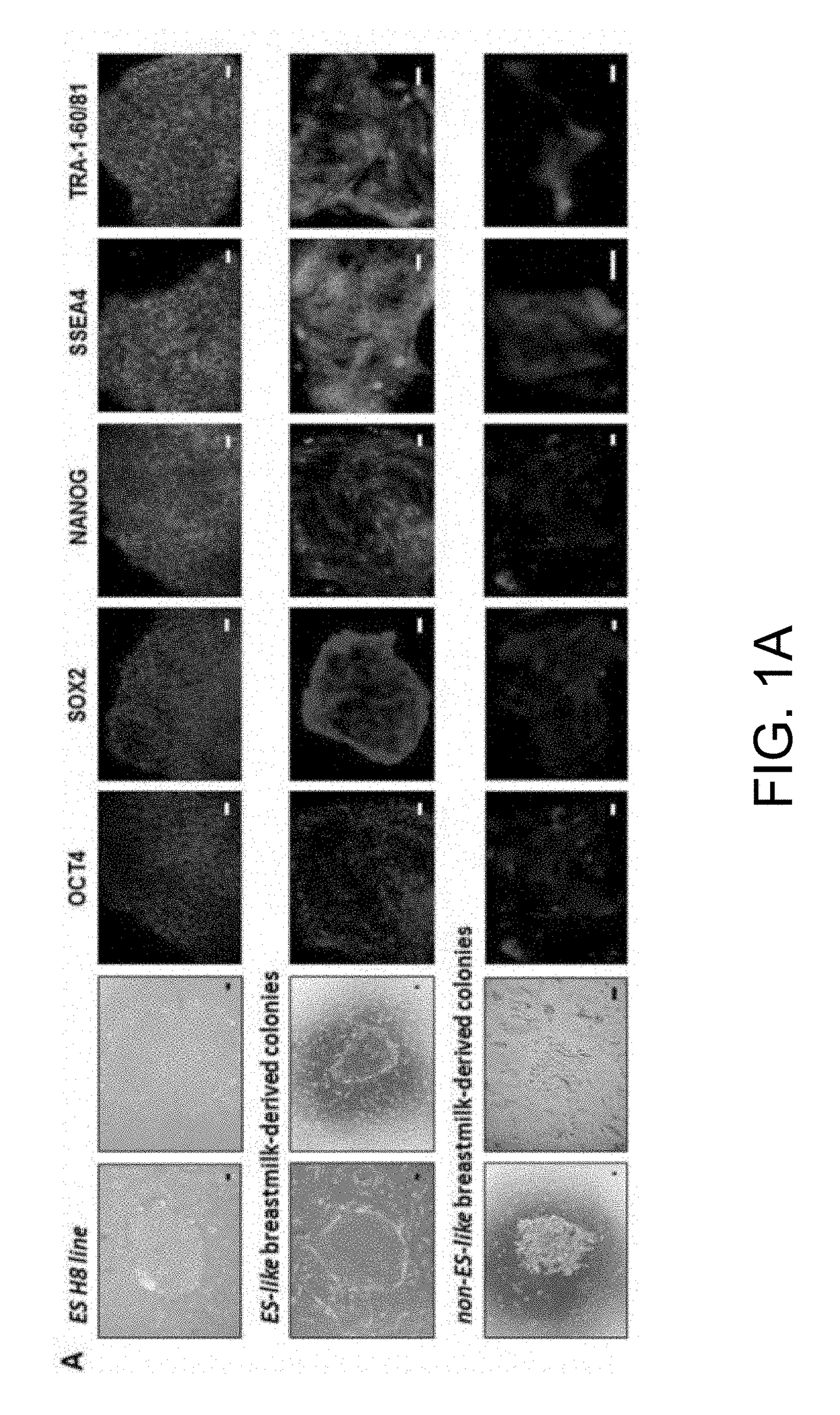 Infant feed and method