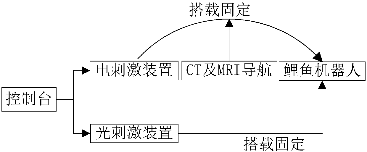 Photic stimulation and electrical stimulation combined carp aquatic animal robot behavior control method