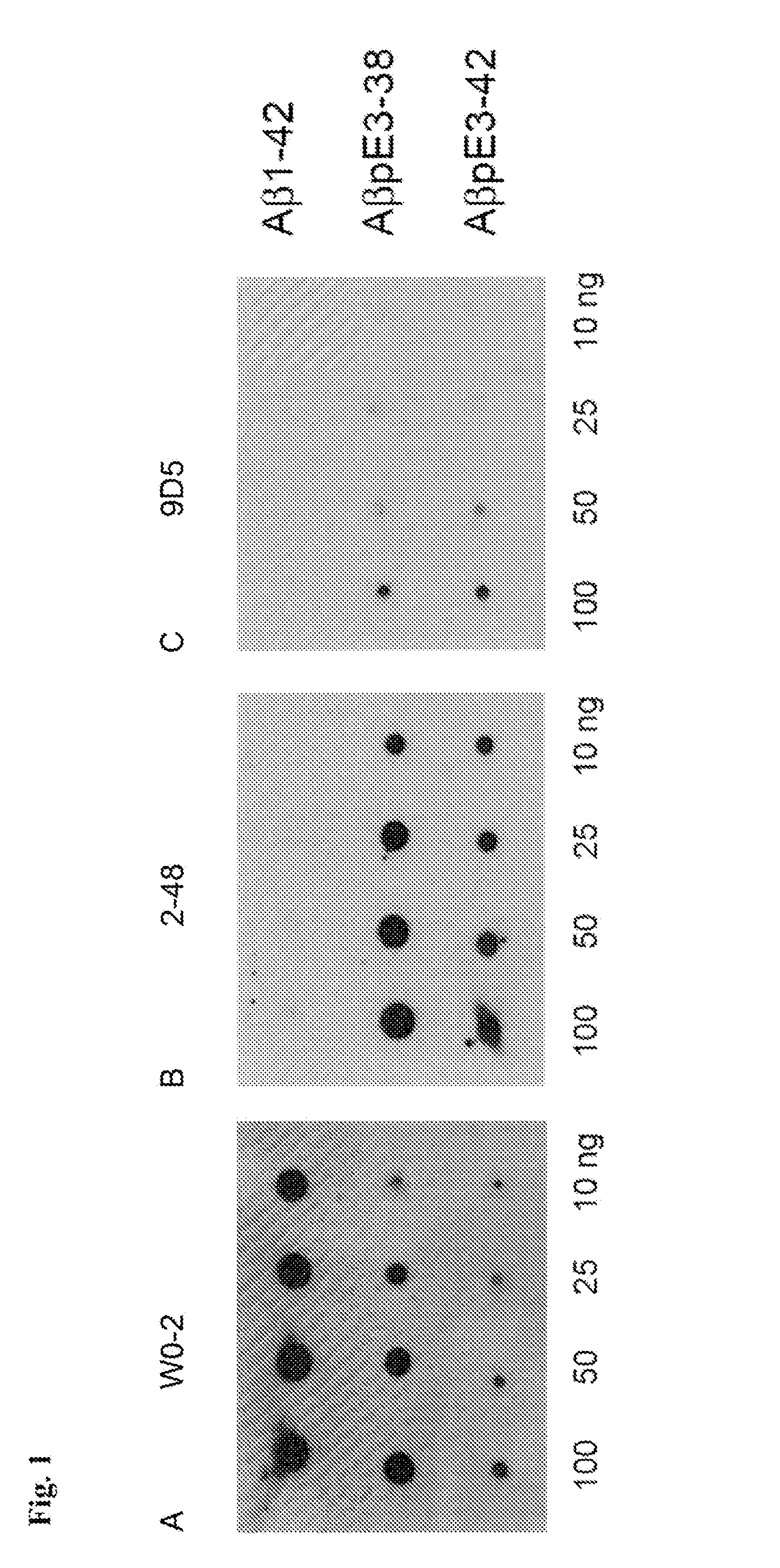 Monoclonal antibodies targeting amyloid beta oligomers