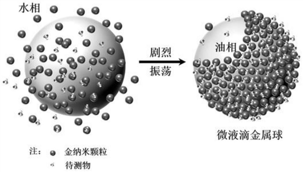 A capillary micro-droplet metal ball detection method for surface-enhanced Raman spectroscopy