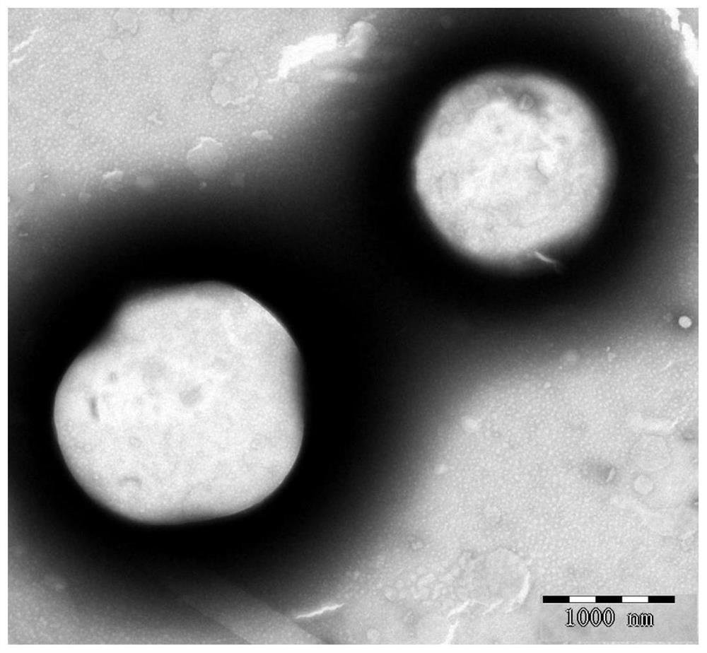 A cationic liposome influenza vaccine capable of loading quantum dots and its preparation method