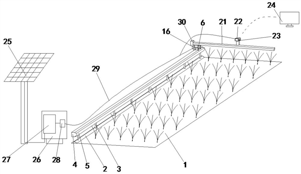 Rice pest positioning and counting device