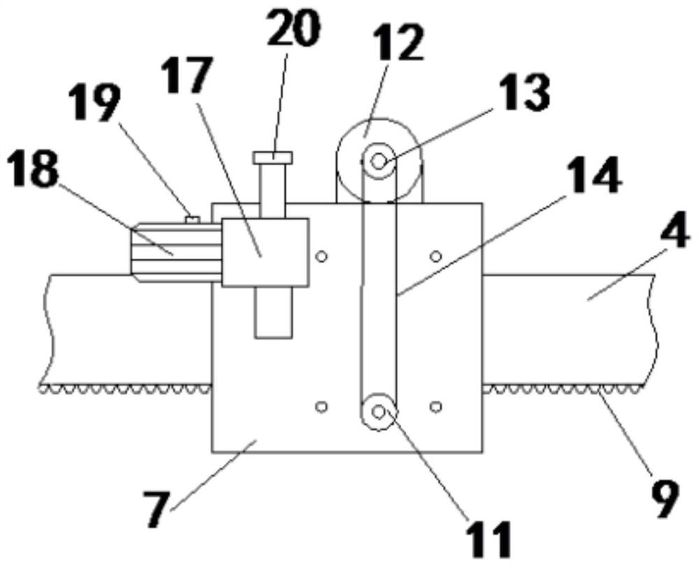 Rice pest positioning and counting device